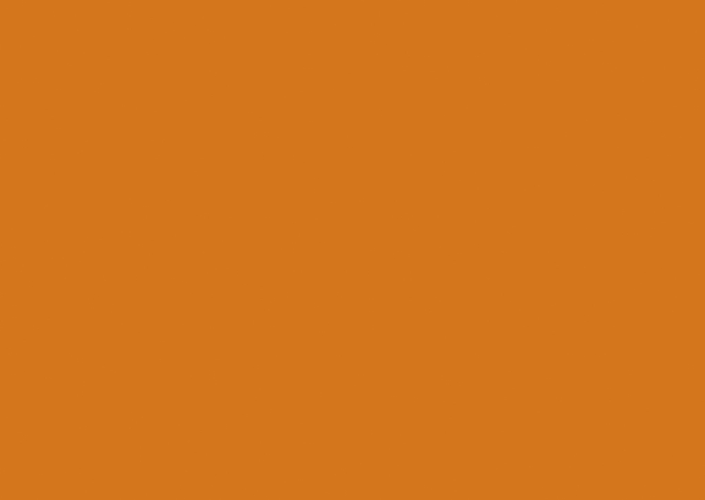 0132 BS Oranžová