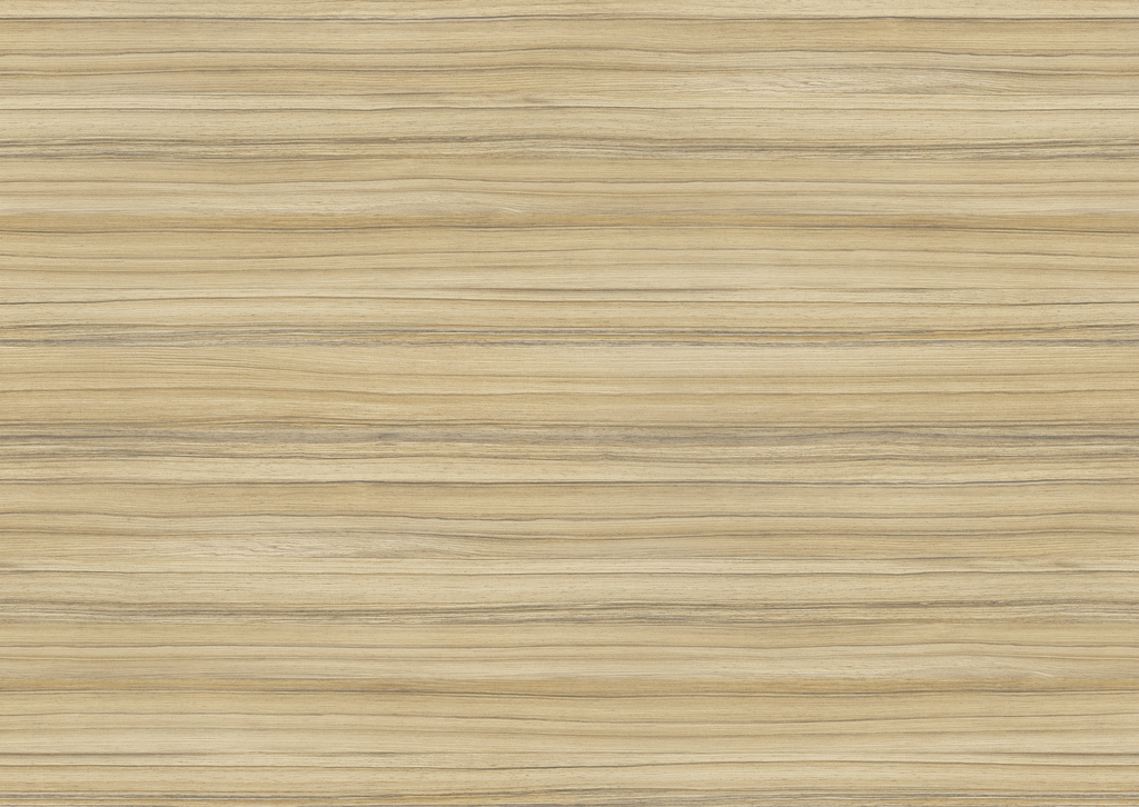 8995 SN Coco Bolo